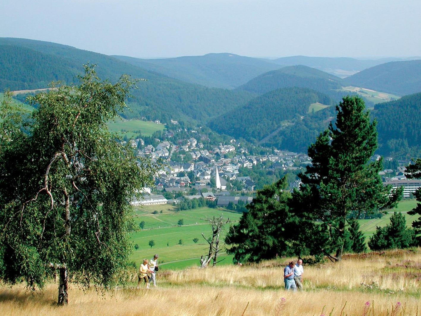 Chalet La Belle Willingen Willingen  Zewnętrze zdjęcie